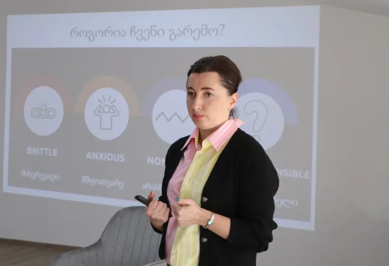 Nino Beruashvili’s meeting on “In-Demand Skills Necessary for Employment”