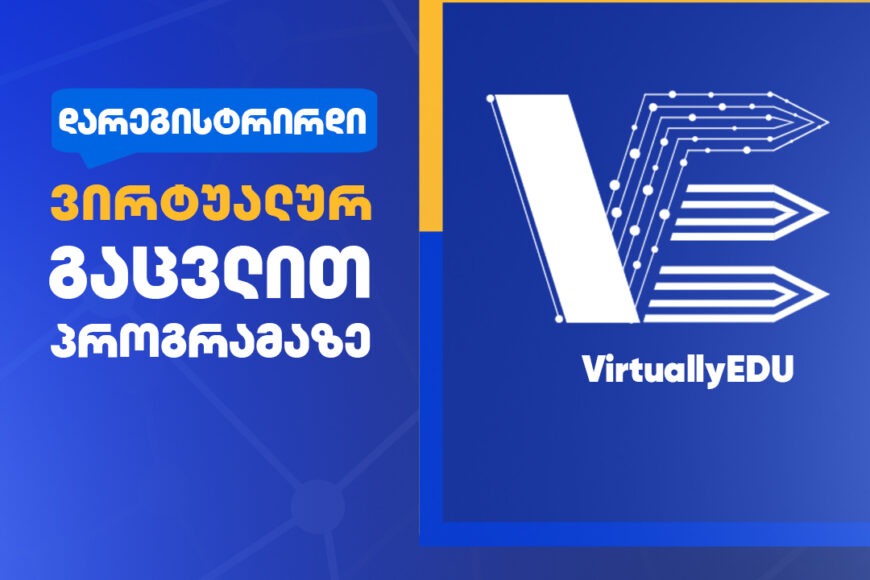VIRTUALLYEDU Virtual Exchanges Program